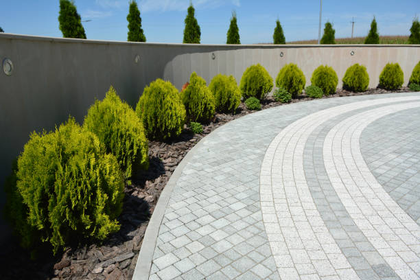 Best Custom Driveway Pavers  in Feasterville, PA